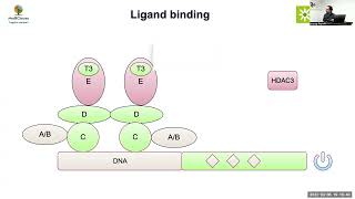 MedEClasses Module Thyroid Action.