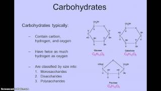 Leavitt Carbohydrate Screencast