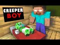 Monster School : Poor Baby CREEPER - Minecraft Animation