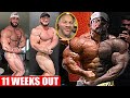 2020 Mr Olympia - 11 Weeks Out - 12 Contenders Update