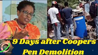 Jamaica No Real Government No Real Opposition Who Actually Rules