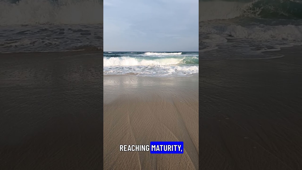 🤯 Unbelievable Animal Powers: Cheating Death & Surviving Space!