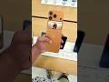Каким будет iPhone 18 Pro?