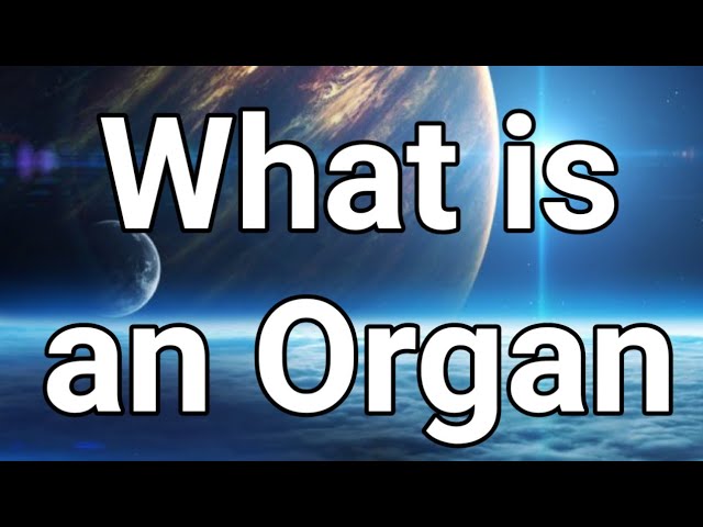 What Is An Organ? 