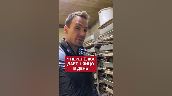 Сколько яиц несут перепелки? / Как живут птицы на экоферме? #shorts
