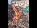 Moringa Cutting Wood burning #hoi #farming #organic #nature #ytshorts #agriculture #trending #burn