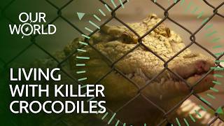 The People Who Befriended Killer Crocodiles (4K Documentary) @OurWorld