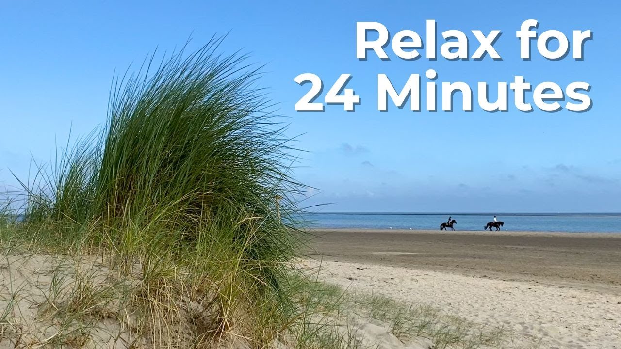 Coastal Calm in 24 Minutes 😌🙏 Renesse, Netherlands 🌊☀️