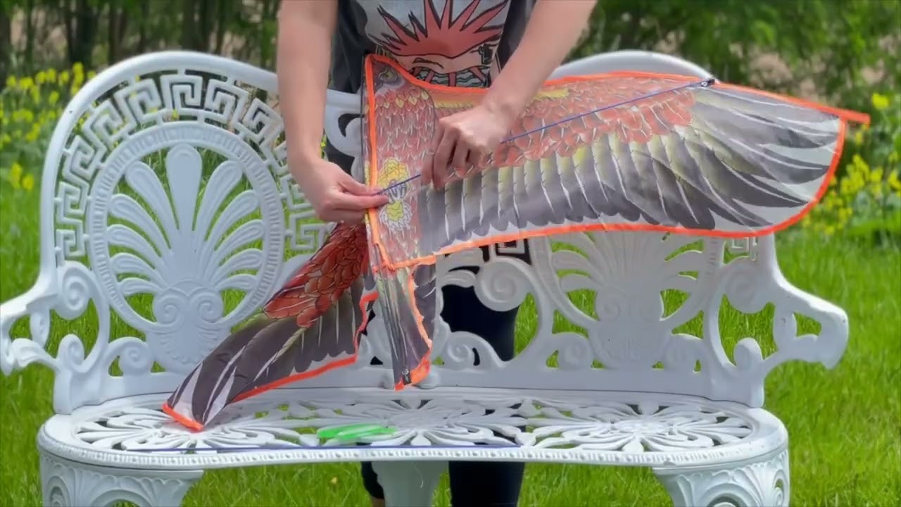 Létající drak orel var 4