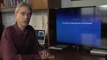 Insight into hippocampal synaptic plasticity