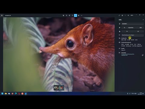 How to Change the Date and Time of Photos and Videos – Windows Tutorial