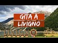 Gita a LIVIGNO - Shopping//Cucina//Relax