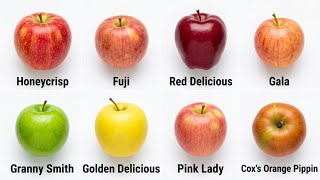 Every Apple Explained In 4 Minutes 