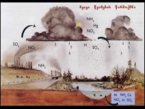 გარემოს დაბინძურება. III ნაწილი