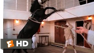The Black Stallion (1\/11) Movie CLIP - Alec Meets the Stallion (1979) HD