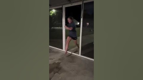 Gypsy the Dog Runs into Garage Screen Instead of Open Door    ViralHog