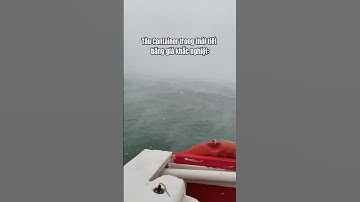 Tàu CONTAINER Trong Thời Tiết Băng Giá, Khắc Nghiệt #xuatnhapkhau #logistics #container