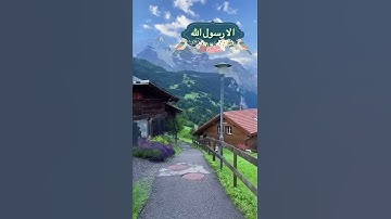 ان المجرمين في عذاب جهنم خالدون تلاوة خاشعة مقطع قران قصير بصوت الشيخ ياسر الزيلعي