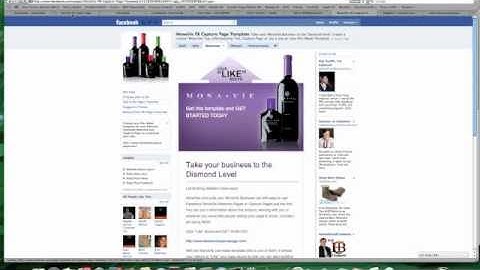 Pt 3 Facebook Fan Page Series for Maximum Results