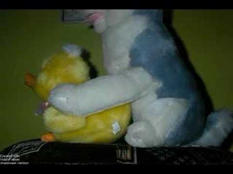 you tube clitoris videos renaldo with transvestites