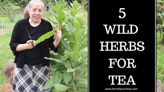 Exclusive Foraging Wild Tea - 5 PNW Medicinals Details