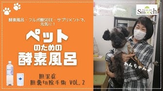 胆泥症 Youtube 胆泥症 Youtube