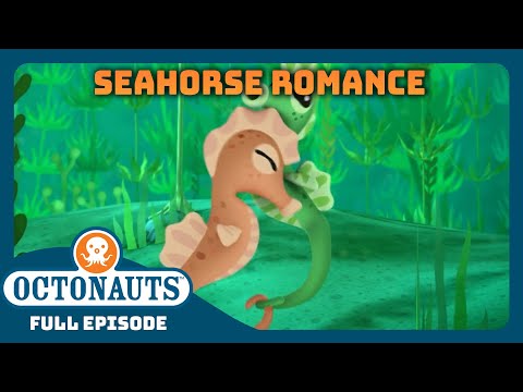 @OctonautsEpisode - The Seahorse Tale | Full Episode 31 | Cartoons for Kids