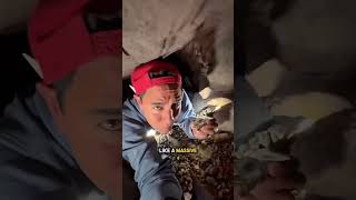 His Sofa Hides a Dark Secret 😯