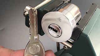 [499] Japanese "MegaCross" Hybrid Dimple Cylinder Picked and Gutted