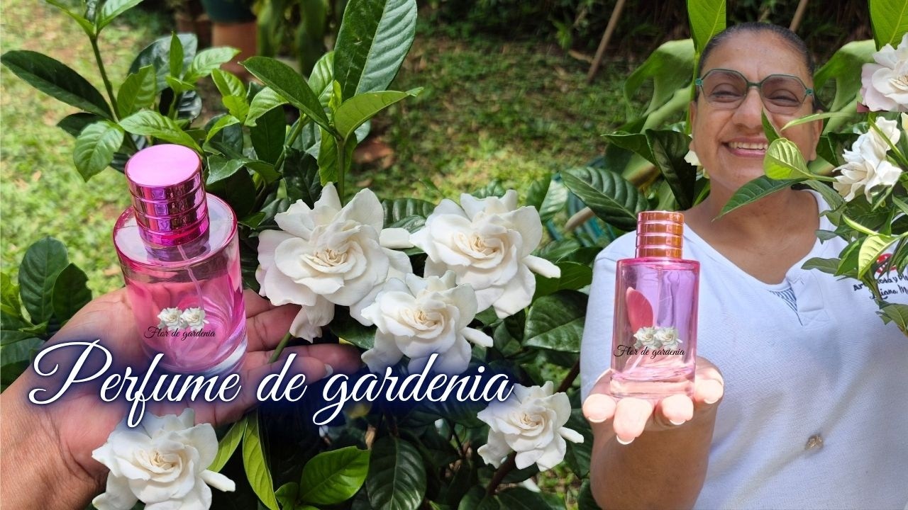 PERFUME de GARDENIA cómo prepararlo artesanalmente como las abuelas lo hacían/Liliana Muñoz