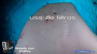 Gopro Curso