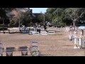 Ambato Troy Campeonato Anual De Caballos Nuevos Ambato Troy Campeonato Anual De Caballos Nuevos