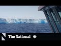World&#39;s largest iceberg now drifting in open water