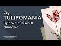 Czy tulipomania była szaleństwem tłumów? | Bańka tulipanowa