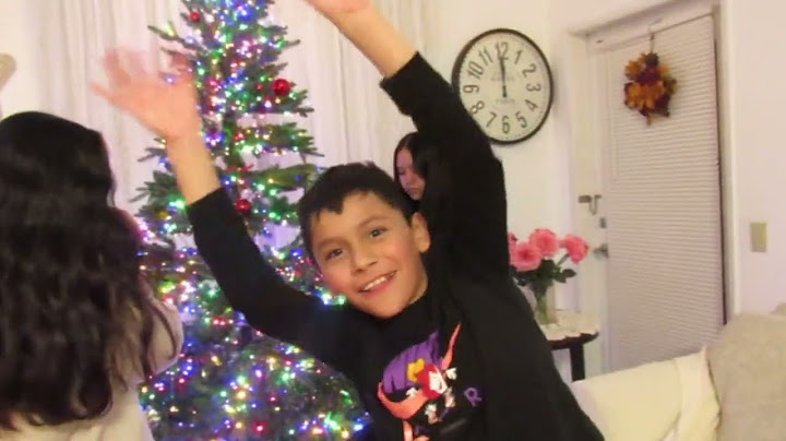 Pusimos el árbol de Navidad