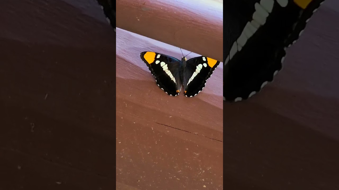 Oregon Caves National Monument and Preserve 