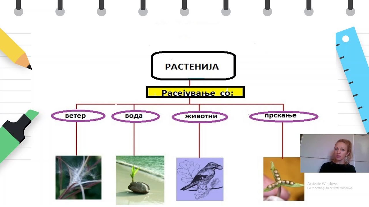 V Одделение - Природни науки - Животен циклус на цветните растенија