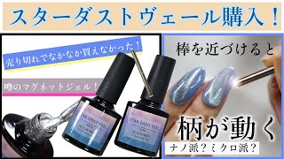 【噂のマグネットネイル❗️スターダストヴェールGET