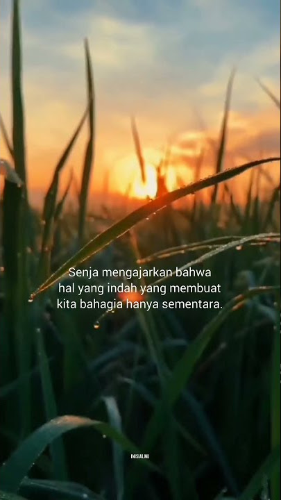 Story WA Kata-kata Terbaru | Quotes Keren | Here's Your Perfect - James Miller
