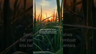 Story WA Kata-kata Terbaru | Quotes Keren | Here's Your Perfect - James Miller