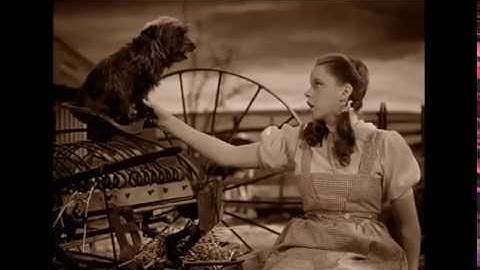 THE WIZARD OF OZ (