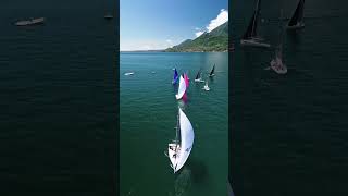Day 2 - Dolphin 81 Italian Championship - Eurocup 2024
