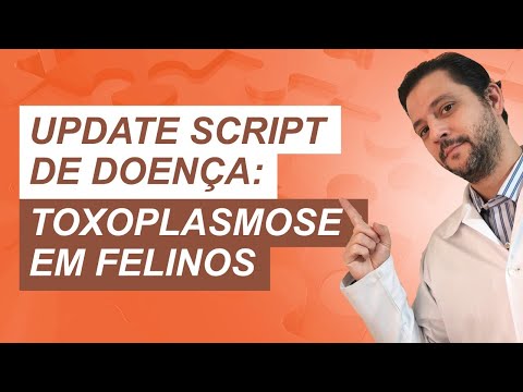 Vídeo: Quão Grave é O Risco De Toxoplasmose De Seu Gato - Veterinário Diário