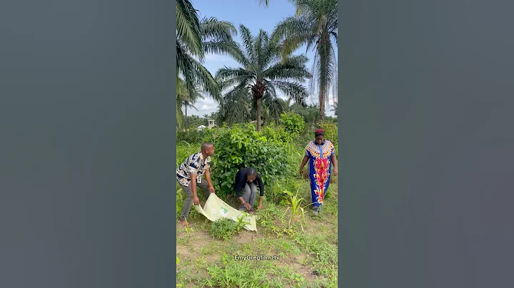 🤣 #music #afrohouse #newmusic #afrobeats #vibes #dance #comedydance #funny #calmdownchallenge #yt