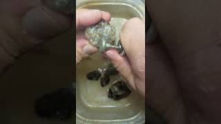 Fire Agate tutorials ~ Getting started Content