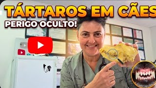 TÁRTAROS EM CÃES 