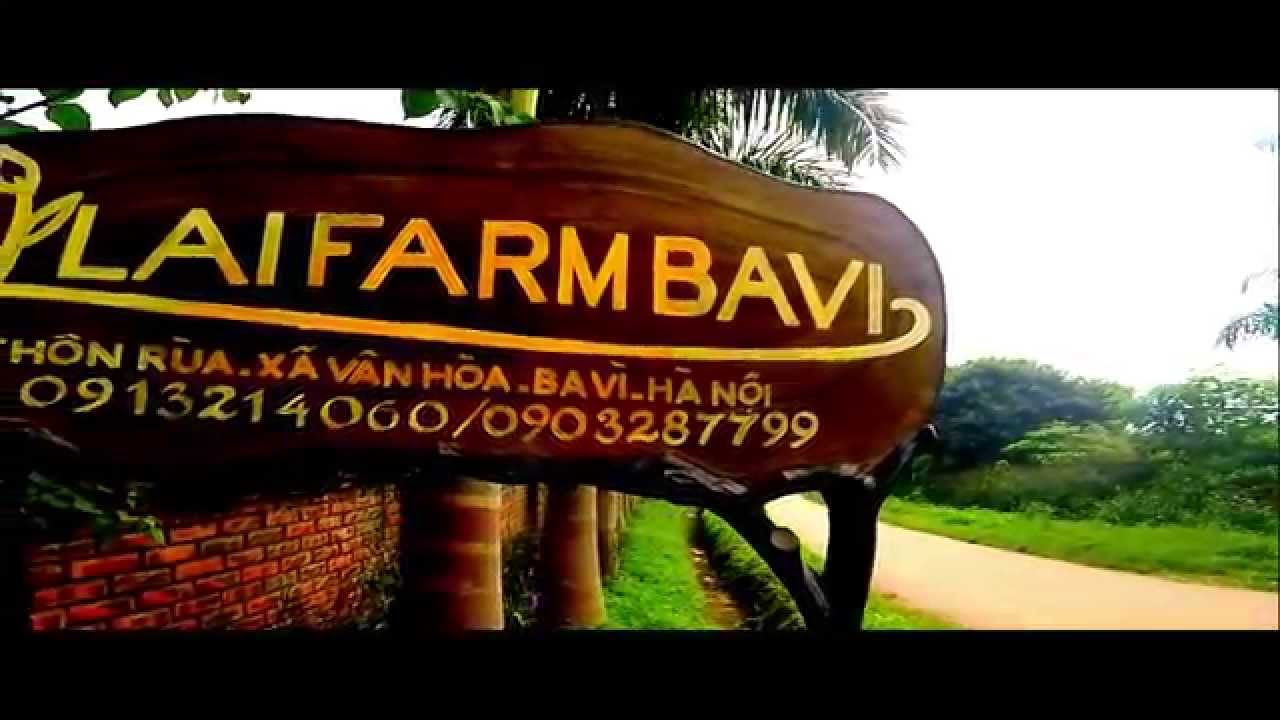 lai farm ba vì 2022 Update Lai farm Ba vi Promotional video