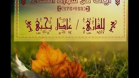آيات من سورة النساء للقاريء/ عادل يحيى