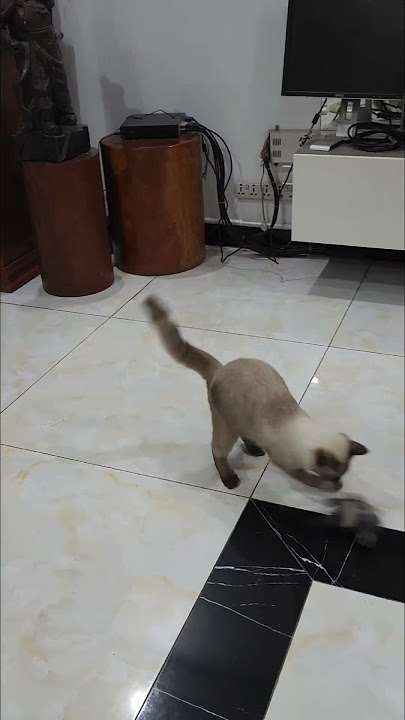 0613 02 1749789014334