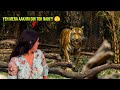 This Zoo in Bangalore Dying?, Travelled 40 KM To Reach Here BUT?